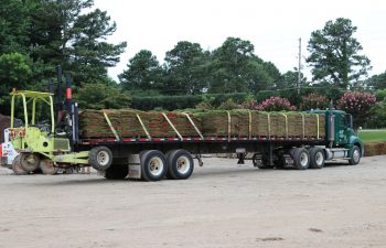 Company Sod Delivery