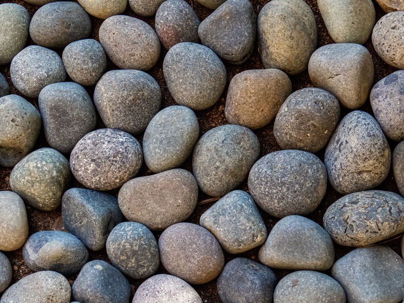 Mexican Pebbles 