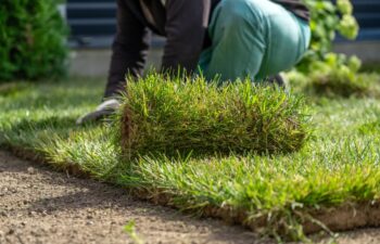 View of unrecognizable gardener fixing sod on field of backyard. Worker laying roll lawn in the garden.